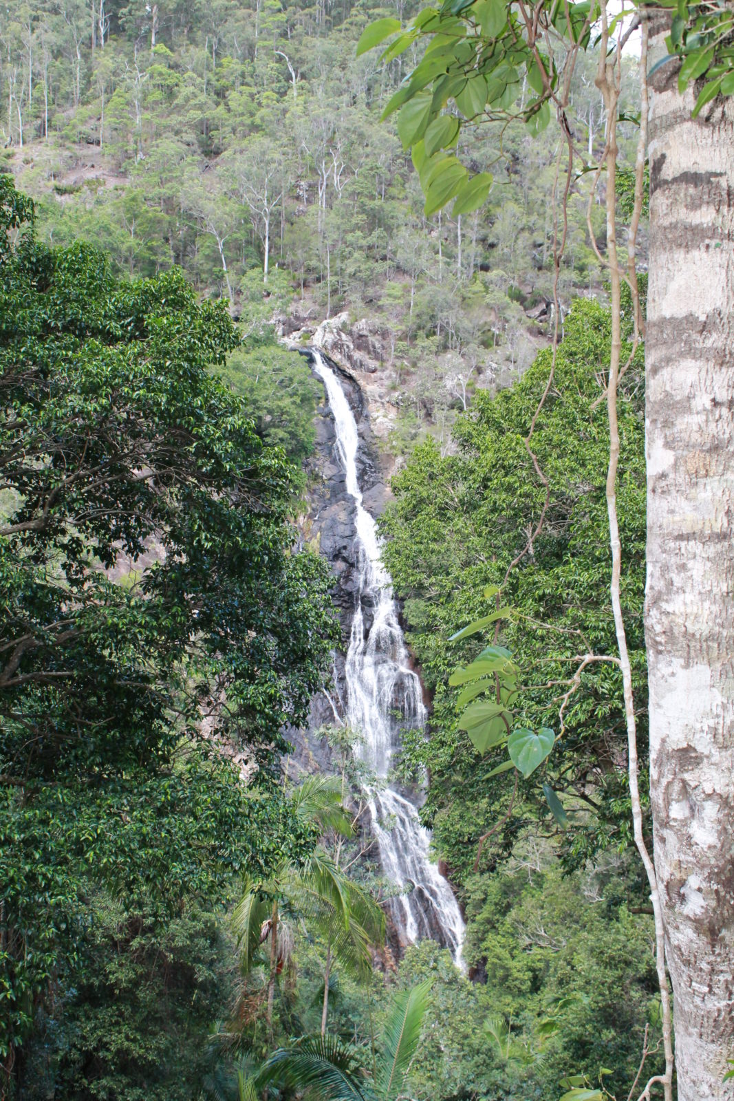 KondallilaFalls